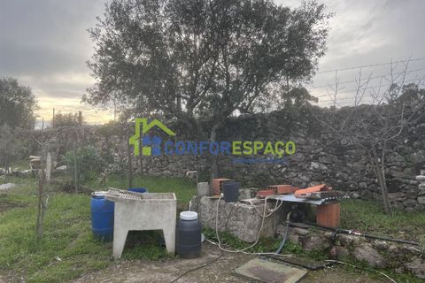 Landejendom i Castelo Branco, Castelo Branco, Castelo Branco - € 76.000 | Ref: 24041 - foto 12