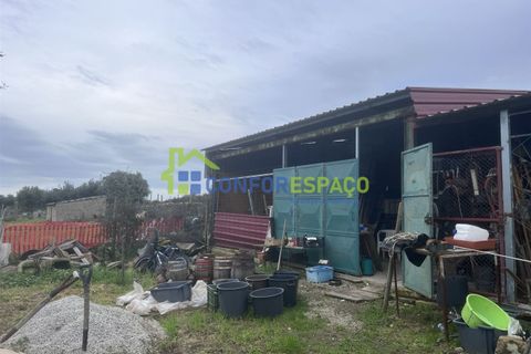 Landejendom i Castelo Branco, Castelo Branco, Castelo Branco - € 76.000 | Ref: 24041 - foto 13