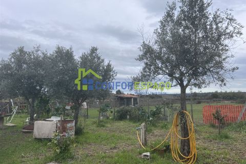 Landejendom i Castelo Branco, Castelo Branco, Castelo Branco - € 76.000 | Ref: 24041 - foto 14