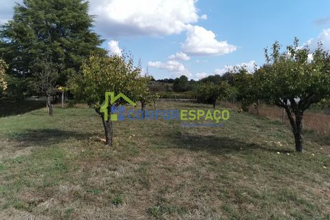 Landejendom i Castelo Branco, Castelo Branco, Castelo Branco - € 150.000 | Ref: 23099 - foto 2