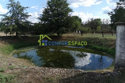 Landejendom i Castelo Branco, Castelo Branco, Castelo Branco - € 150.000 | Ref: 23099 - foto 3