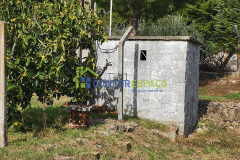Landejendom i Castelo Branco, Castelo Branco, Castelo Branco - € 150.000 | Ref: 23099 - foto 4