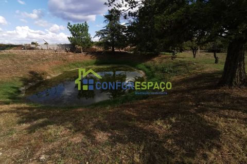 Landejendom i Castelo Branco, Castelo Branco, Castelo Branco - € 150.000 | Ref: 23099 - foto 5