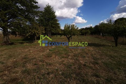 Landejendom i Castelo Branco, Castelo Branco, Castelo Branco - € 150.000 | Ref: 23099 - foto 6