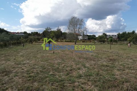 Landejendom i Castelo Branco, Castelo Branco, Castelo Branco - € 150.000 | Ref: 23099 - foto 7