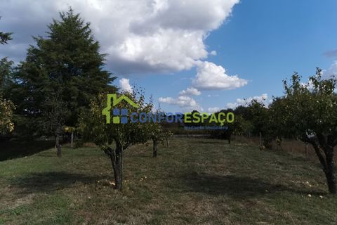 Landejendom i Castelo Branco, Castelo Branco, Castelo Branco - € 150.000 | Ref: 23099 - foto 8