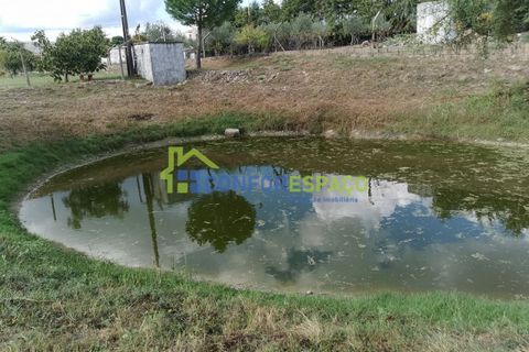 Landejendom i Castelo Branco, Castelo Branco, Castelo Branco - € 150.000 | Ref: 23099 - foto 9