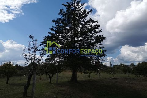 Landejendom i Castelo Branco, Castelo Branco, Castelo Branco - € 150.000 | Ref: 23099 - foto 10