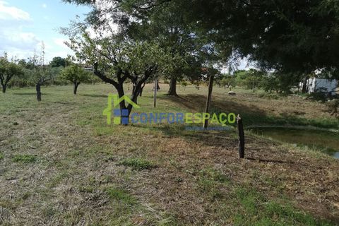 Landejendom i Castelo Branco, Castelo Branco, Castelo Branco - € 150.000 | Ref: 23099 - foto 11