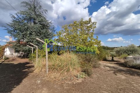 Landejendom i Castelo Branco, Castelo Branco, Castelo Branco - € 150.000 | Ref: 23099 - foto 1