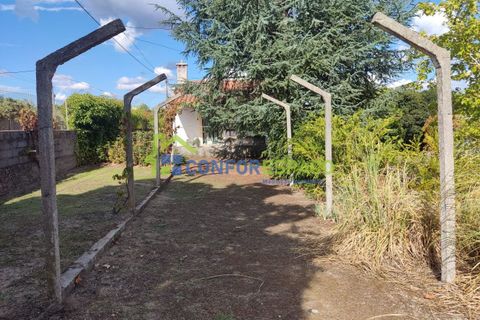Landejendom i Castelo Branco, Castelo Branco, Castelo Branco - € 150.000 | Ref: 23099 - foto 12