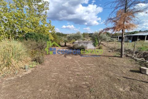 Landejendom i Castelo Branco, Castelo Branco, Castelo Branco - € 150.000 | Ref: 23099 - foto 13