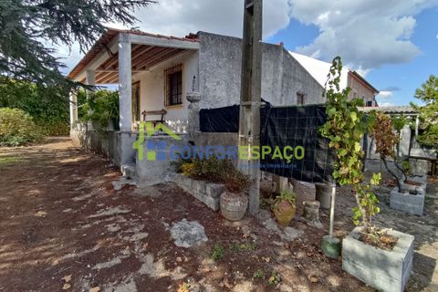Landejendom i Castelo Branco, Castelo Branco, Castelo Branco - € 150.000 | Ref: 23099 - foto 15