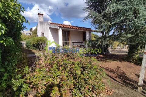 Landejendom i Castelo Branco, Castelo Branco, Castelo Branco - € 150.000 | Ref: 23099 - foto 16
