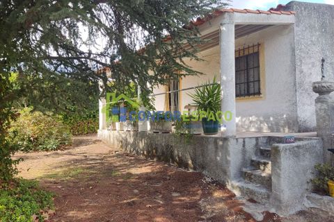 Landejendom i Castelo Branco, Castelo Branco, Castelo Branco - € 150.000 | Ref: 23099 - foto 17