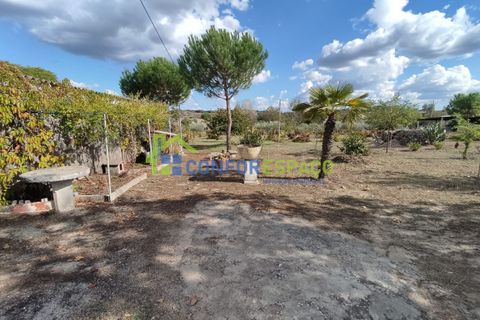 Landejendom i Castelo Branco, Castelo Branco, Castelo Branco - € 150.000 | Ref: 23099 - foto 18