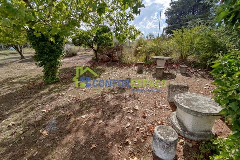 Landejendom i Castelo Branco, Castelo Branco, Castelo Branco - € 150.000 | Ref: 23099 - foto 19