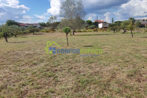 Landejendom i Castelo Branco, Castelo Branco, Castelo Branco - € 150.000 | Ref: 23099 - foto 20