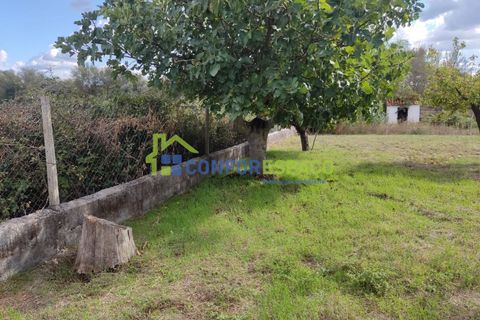 Landejendom i Castelo Branco, Castelo Branco, Castelo Branco - € 150.000 | Ref: 23099 - foto 22