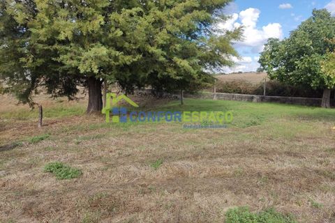 Landejendom i Castelo Branco, Castelo Branco, Castelo Branco - € 150.000 | Ref: 23099 - foto 24