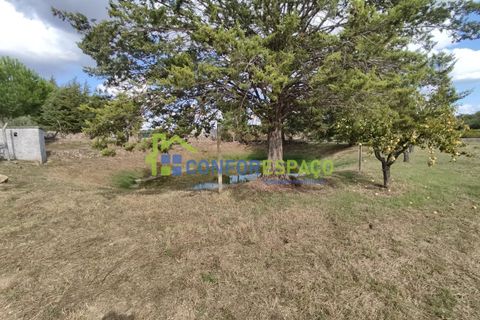 Landejendom i Castelo Branco, Castelo Branco, Castelo Branco - € 150.000 | Ref: 23099 - foto 25