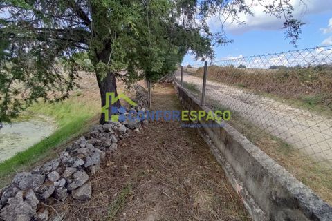 Landejendom i Castelo Branco, Castelo Branco, Castelo Branco - € 150.000 | Ref: 23099 - foto 26