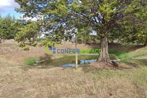 Landejendom i Castelo Branco, Castelo Branco, Castelo Branco - € 150.000 | Ref: 23099 - foto 27