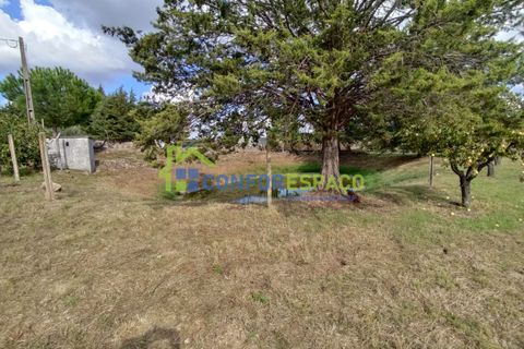 Landejendom i Castelo Branco, Castelo Branco, Castelo Branco - € 150.000 | Ref: 23099 - foto 28