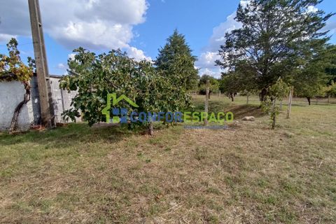 Landejendom i Castelo Branco, Castelo Branco, Castelo Branco - € 150.000 | Ref: 23099 - foto 29