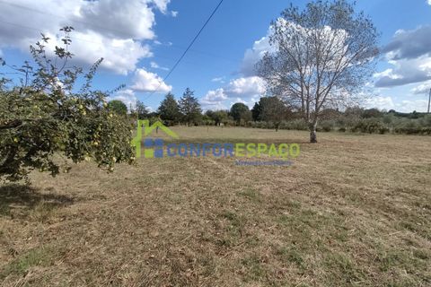 Landejendom i Castelo Branco, Castelo Branco, Castelo Branco - € 150.000 | Ref: 23099 - foto 30