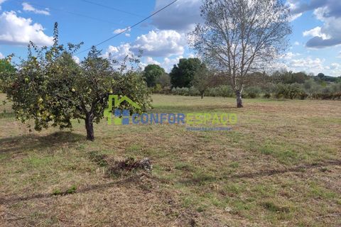 Landejendom i Castelo Branco, Castelo Branco, Castelo Branco - € 150.000 | Ref: 23099 - foto 32