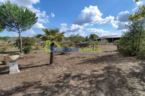 Landejendom i Castelo Branco, Castelo Branco, Castelo Branco - € 150.000 | Ref: 23099 - foto 34