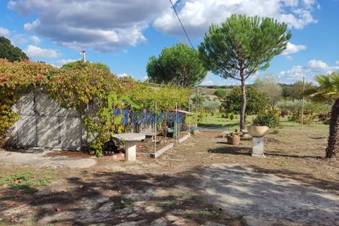 Landejendom i Castelo Branco, Castelo Branco, Castelo Branco - € 150.000 | Ref: 23099 - foto 36