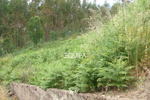 Helårsgrund i Lousada, Porto, Lousada - € 61.000 | Ref: WS-326817 - foto 7