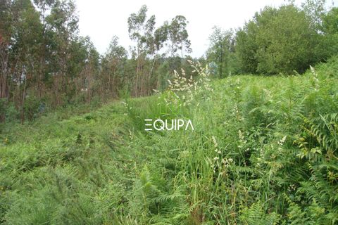 Helårsgrund i Lousada, Porto, Lousada - € 61.000 | Ref: WS-326817 - foto 9