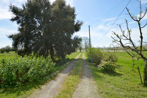 Farm hus i Duras, Lot-et-Garonne, Duras - € 186.067 | Ref: D4613 - foto 9