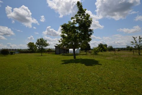 Landejendom i Monsegur, Lot-et-Garonne, Monsegur - € 169.600 | Ref: D4213 - foto 5