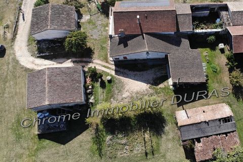Landejendom i Duras, Lot-et-Garonne, Duras - € 254.400 | Ref: D4442 - foto 4