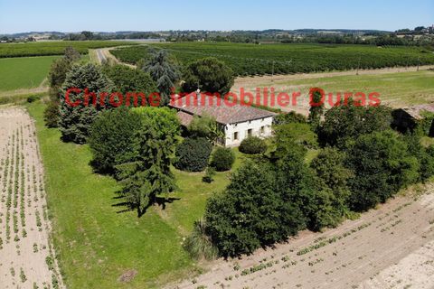 Landejendom i Monsegur, Lot-et-Garonne, Monsegur - € 330.120 | Ref: D4889 - foto 5
