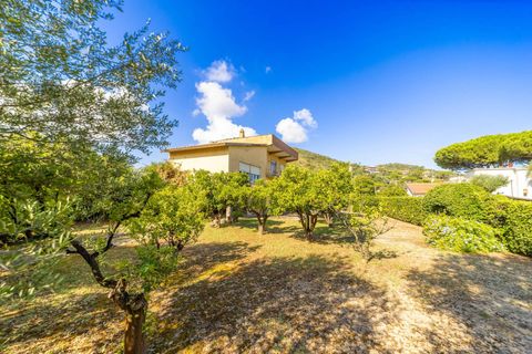 Villa i Monte Argentario, Grosseto, Monte Argentario - € 880.000 | Ref: 71 - foto 1