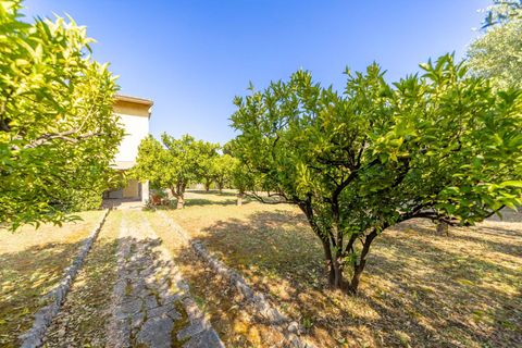 Villa i Monte Argentario, Grosseto, Monte Argentario - € 880.000 | Ref: 71 - foto 3