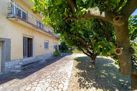Villa i Monte Argentario, Grosseto, Monte Argentario - € 880.000 | Ref: 71 - foto 12