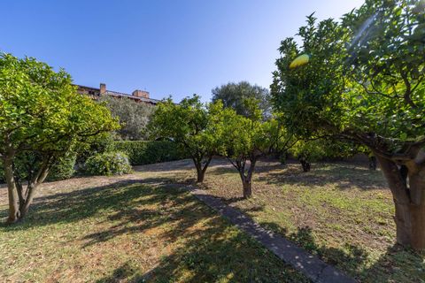 Villa i Monte Argentario, Grosseto, Monte Argentario - € 880.000 | Ref: 71 - foto 35
