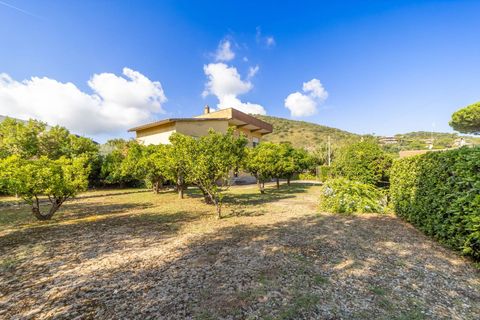 Villa i Monte Argentario, Grosseto, Monte Argentario - € 880.000 | Ref: 71 - foto 38