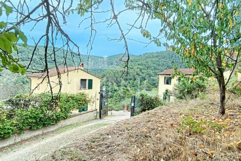 Landejendom i Vinci, Florence, Vinci - € 395.000 | Ref: 1003-262C - foto 4