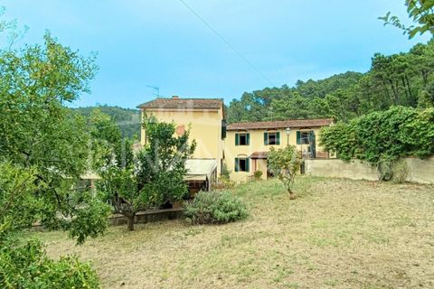 Landejendom i Vinci, Florence, Vinci - € 395.000 | Ref: 1003-262C - foto 5