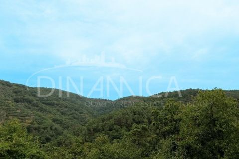 Landejendom i Vinci, Florence, Vinci - € 395.000 | Ref: 1003-262C - foto 6
