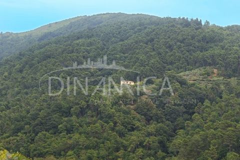Landejendom i Vinci, Florence, Vinci - € 395.000 | Ref: 1003-262C - foto 9