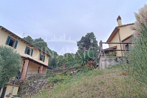 Landejendom i Vinci, Florence, Vinci - € 395.000 | Ref: 1003-262C - foto 34
