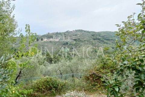 Landejendom i Vinci, Florence, Vinci - € 395.000 | Ref: 1003-262C - foto 41
